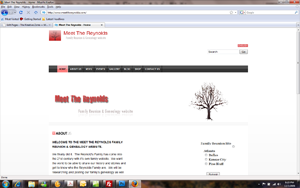meetthereynoldssite Meet the Reynolds Family Reunion website